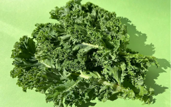 Berbagai Manfaat Sayur Kale Untuk Kesehatan