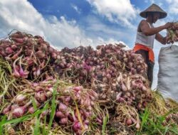 Harga Pangan dan Emas Picu Inflasi pada Oktober 2024 di Sumbar