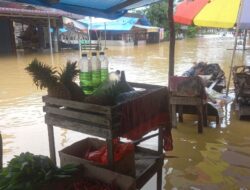 Pemprov Riau Ajukan Bantuan Penanggulangan Banjir ke Pemerintah Pusat