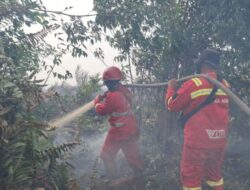 Hotspot Masih Terdeteksi 156 Titik, Riau Berpotensi Hujan