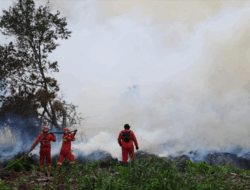 BNPB : Segera Tetapkan Status Tanggap Darurat Karhutla di Riau