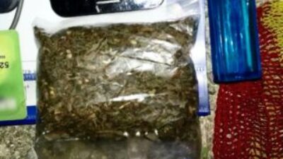Upaya Penyelundupan Ganja Digagalkan Petugas Gabungan