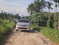 Tragedi Kemanusiaan di Palembayan, Sinyal Kuat Ketimpangan Akses Layanan Dasar