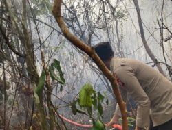Kebakaran Lahan Nyaris Jangkau Permukiman, 32 Personel Diturunkan