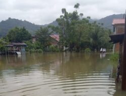 Ratusan Rumah Warga di Korong Kasai Direndam Banjir