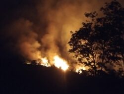 15 Hektare Perkebunan Sawit dan Gambir di Pangkalan, Hangus Terbakar