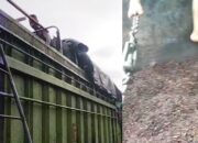 Aksi Begal Truk Inti Sawit Marak di Jalur Lubukbasung–Sungailimau