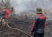 Karhutla Landa Tiga Daerah, Warga Diimbau Jangan Buka Lahan dengan Cara Dibakar