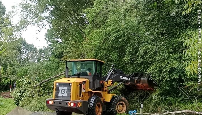 Akses Bukittinggi–Medan di Palupuh Tertutup Longsor