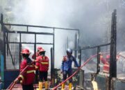 Si Jago Merah Hanguskan Rumah Warga, Kerugian Capai Rp 500 Juta