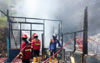 Si Jago Merah Hanguskan Rumah Warga, Kerugian Capai Rp 500 Juta