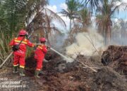 Idul Adha 1447 H, Tim Karhutla Masih Berjibaku Padamkan Api di Lapangan