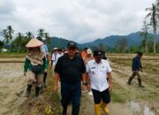Dirjen LIP Kementan Janjikan Irigasi Tersier Tuntas Usai Rehab Sawah Pascabencana di Padang Pariaman