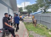 110 KK Warga Huntara Lubuk Buaya Terima Bantuan Tiga Ekor Sapi Kurban
