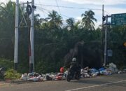 Unggukan Sampah Makin Menggunung, Komitmen Pemkab Padang Pariaman Dipertanyakan