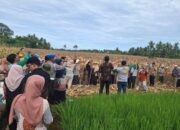 Percepat Pemulihan Perekonomian Sektor Pertanian Pascabencana
