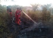 Warga Pekanbaru Waspada, Area Karhutla Capai Satu Hektare