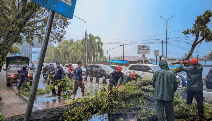 Warga Diimbau Tingkatkan Kewaspadaan Hadapi Cuaca Ekstrem dan Angin Kencang