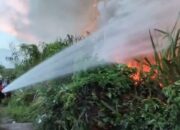 10 Bangunan Nyaris Dilahap Sijago Merah, Akibat Kebakaran Lahan Kosong