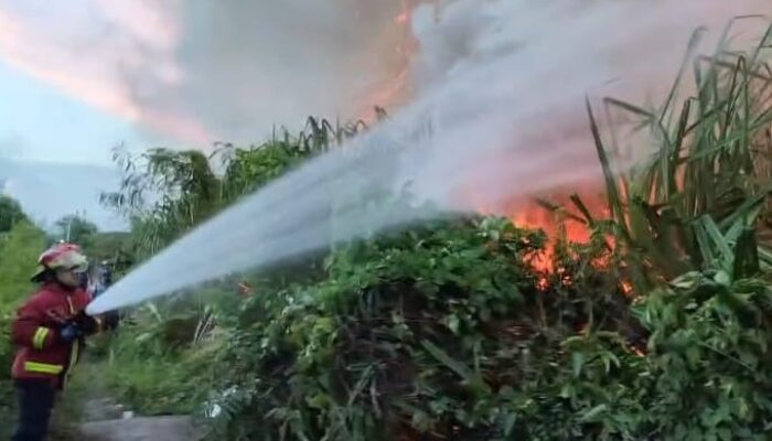 10 Bangunan Nyaris Dilahap Sijago Merah, Akibat Kebakaran Lahan Kosong