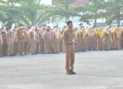 Peternakan Harus Jadi Sumber Kekuatan Ekonomi Daerah