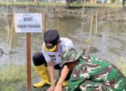 Jaga Kelestarian Lingkungan, TNI Tanam 1.000 Bibit Mangrove