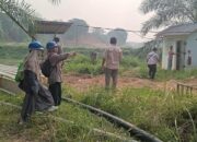 Dua Perusahaan Sawit di Dharmasraya Terancam, Hasil Labor Keluar Paling Lambat 14 Hari Kerja