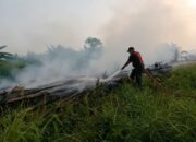 Cegah Dampak Kebakaran Meluas, Tim Lintas Sektoral Kerja Ekstra Lawan Karhutla