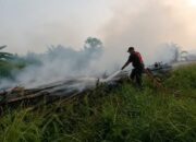 Makin Parah, Status Karhutla Dharmasraya Naik jadi Siaga Darurat