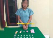 Ibu Rumah Tangga di Batang Anai Ditangkap, Polisi Sita 14 Paket Diduga Sabu
